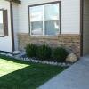 3 bushes in front of house