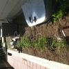 garden 103.jpg