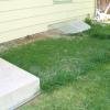 garden 110.jpg