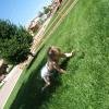 sept 010.jpg