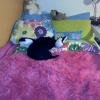 IMG_20141229_182921
