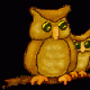 owls3g