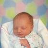 New Baylee