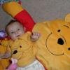 here a pooh there a pooh.. everywhere a pooh